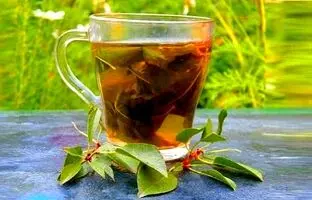 ۱۴ خواص برگ گیلاس و موارد استفاده آن که نمی‌دانید