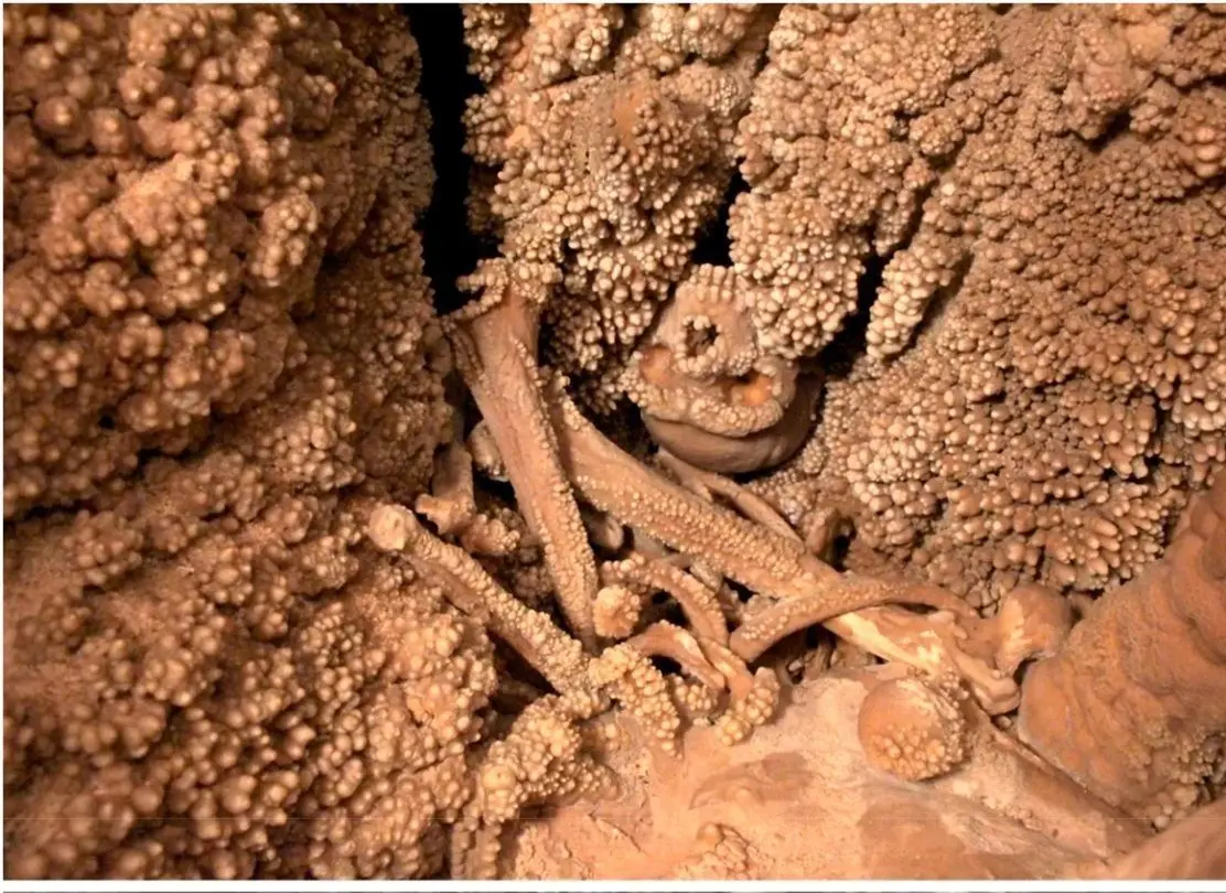 انسان منقرض‌شده‌ای که «150 هزار سال قبل» در یک غار به دام افتاد