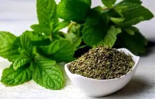 ادویه های مفید برای گوارش و هضم بهتر