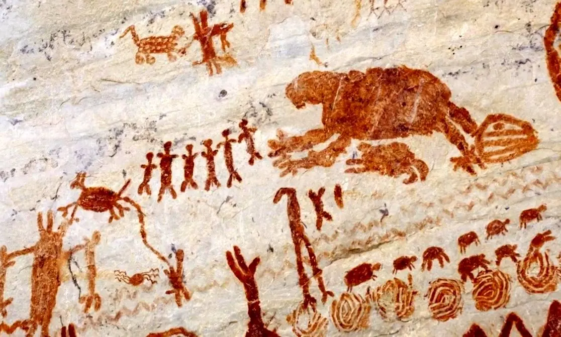 نقاشی‌های شگفت‌انگیز حیوانات در اعماق جنگل آمازون