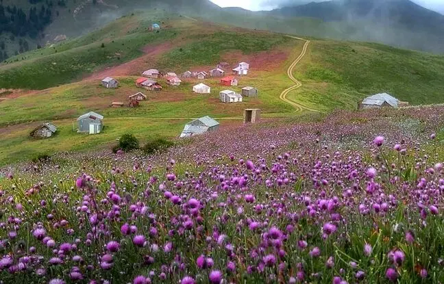 سفری به ییلاق سلانسر؛ تابلوی خنکی‌بخش!