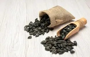 روش اصلی نگهداری تخمه آفتابگردان+ باید نبایدها