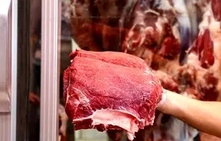 راهکارهای مهم برای نگهداری گوشت در خانه ؛ چطور گوشت فاسد را بشناسیم؟