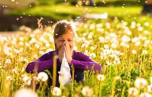 برای مقابله با آلرژی بهاری از همین حالا اقدام کنید