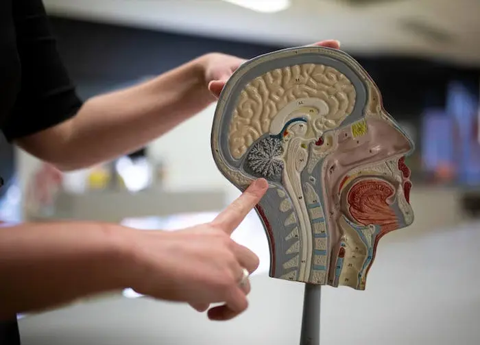 ضربه مغزی چیست و چه علائمی دارد؟ 