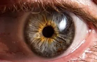 ابداع دارویی جدید برای درمان نابینایی