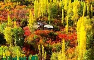 فرار یک‌روزه از دود تهران: ۵ روستای با اکسیژن خالص در چند قدمی پایتخت 