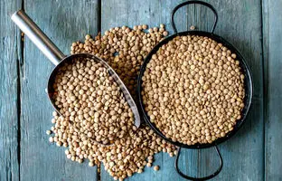 یک کیلو عدس برای چند نفر عدسی می‌دهد؟ ؛ راهنمای کامل محاسبه مقدار عدس برای هر نفر