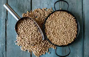 یک کیلو عدس برای چند نفر عدسی می‌دهد؟ ؛ راهنمای کامل محاسبه مقدار عدس برای هر نفر