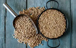 یک کیلو عدس برای چند نفر عدسی می‌دهد؟ ؛ راهنمای کامل محاسبه مقدار عدس برای هر نفر