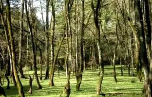 بهترین مکان‌های اراک برای چادر زدن
