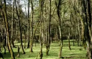 بهترین مکان‌های اراک برای چادر زدن