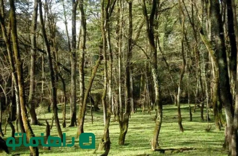 بهترین مکان‌های اراک برای چادر زدن