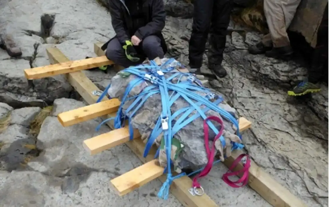 دایناسور ۱۶۶ میلیون ساله از دل صخره‌های ساحلی بیرون آمد 