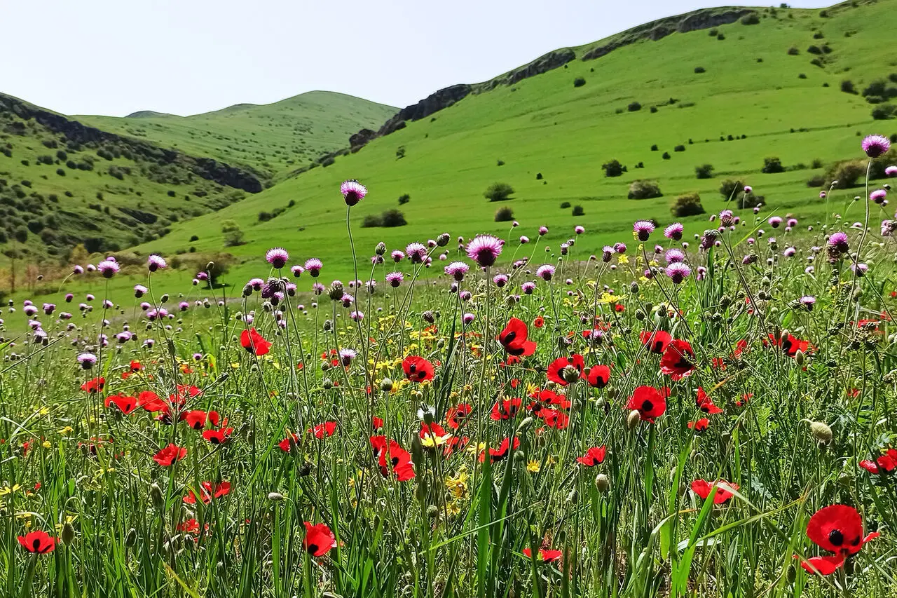 راهنمای سفر: سفر به دل طبیعت در خنداب