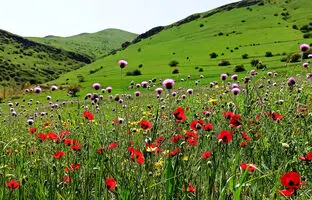 راهنمای سفر: سفر به دل طبیعت در خنداب