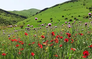 راهنمای سفر: سفر به دل طبیعت در خنداب