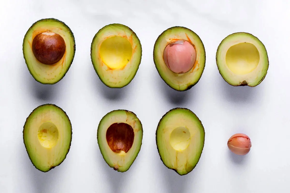 مصرف آووکادو در بارداری احتمال آلرژی غذایی را در نوزاد کاهش می‌دهد 