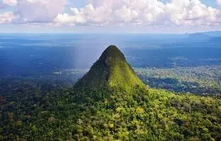 هرم مخفی‌شده در دل آمازون/ بزرگ‌تر از اهرام مصر