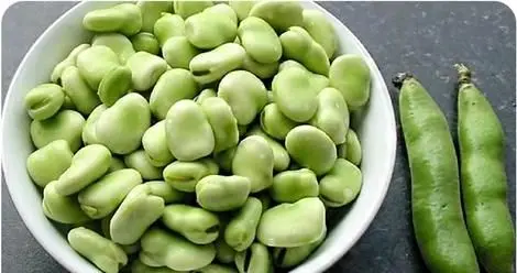 خواص باقلا سبز، زرد و خشک برای پوست و سلامتی بدن