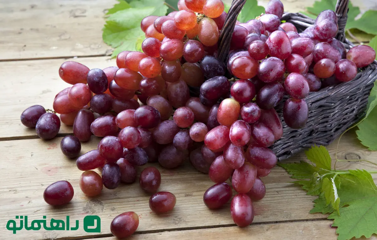 خواص و مضرات انگور