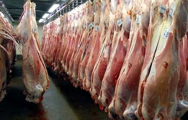 قیمت گوشت قرمز، امروز شنبه ۱ دی ۱۴۰۳

