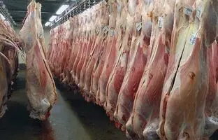 قیمت گوشت قرمز، امروز ۲۱ خرداد ۱۴۰۴
