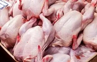 قیمت گوشت مرغ، امروز چهارشنبه ۲۱ شهریور ۱۴۰۳