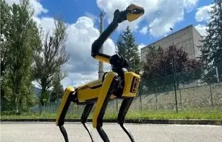 این سگ تشعشعات هسته‌ای را بو می‌کشد!