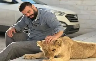 
پرونده توله شیر امیرعلی اکبری به کجا رسید؟
