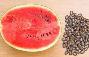 کالری تخمه هندوانه چقدر است؟