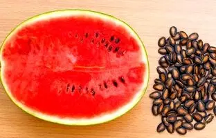 کالری تخمه هندوانه چقدر است؟