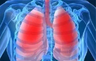 ۷ نوشیدنی گرم برای حفظ سلامت ریه‌ها