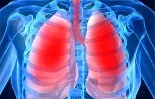 ۷ نوشیدنی گرم برای حفظ سلامت ریه‌ها