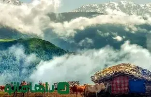 سفر به روستای مازیچال؛ مسیری که به سوی بهشت می‌پیچد

