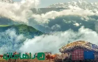 سفر به روستای مازیچال؛ مسیری که به سوی بهشت می‌پیچد
