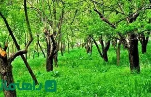 سفر به روستای عنبران؛ بهشتی معطر در قلب کوه‌های مشهد 