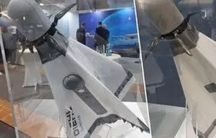 میکروموشک، شکارچی آلمانی پهپادها + عکس