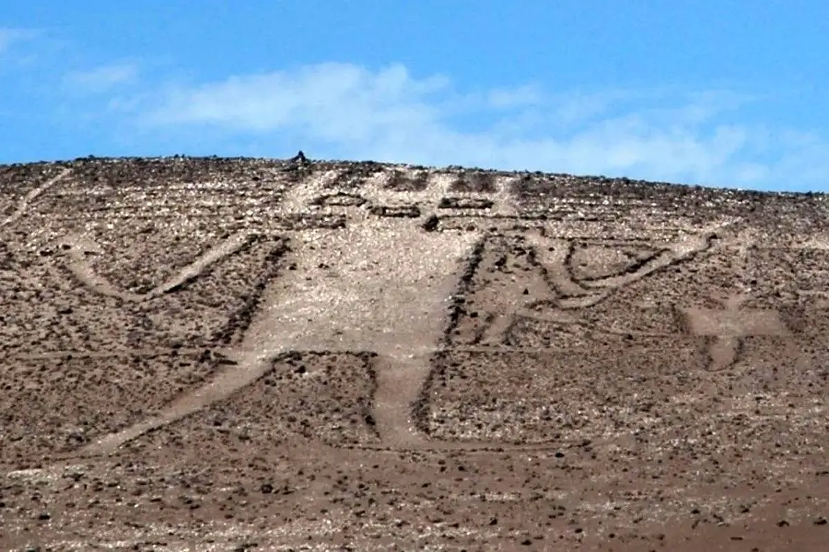 غول ۱۱۹ متری آتاکاما؛ بزرگترین تصویر «انسان‌نمای» ماقبل تاریخ