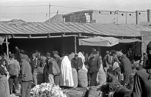 سفر به تهران قدیم؛ مرد تهرانی بخاطر حمله شپش‌ها کشته شد! + تصویر