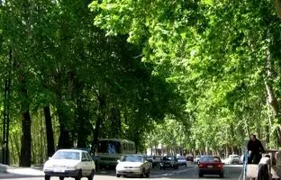 تهران قدیم؛ «خیابان تاریخی ولیعصر با چنارهای دیدنی»؛ سال 1326 + تصویر