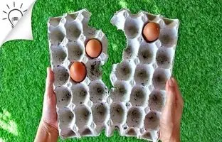8 ایده فوق العاده برای استفاده مجدد از شانه تخم مرغ + ویدئو