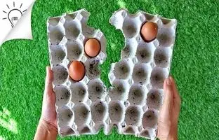 8 ایده فوق العاده برای استفاده مجدد از شانه تخم مرغ + ویدئو