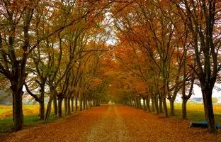 جاهای دیدنی ساری؛ دریاچه، آبشار و خاص‌ترین حیات وحش ایران در فصل برگریزان