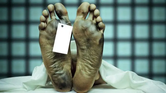 بدن انسان چگونه از زمان نزدیک‌بودن مرگ باخبر می‌شود؟ 