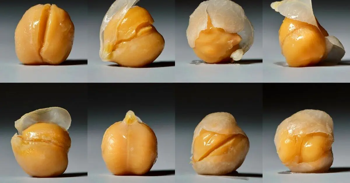 نخود چقدر سالم است؟
