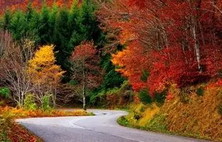 پاییز را کجا تماشا کنیم؟ ۶ مقصد رنگارنگ نزدیک تهران
