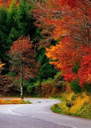 پاییز را کجا تماشا کنیم؟ ۶ مقصد رنگارنگ نزدیک تهران