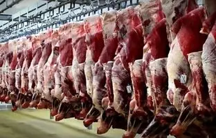 قیمت گوشت قرمز امروز دوشنبه ۷ آبان ۱۴۰۳