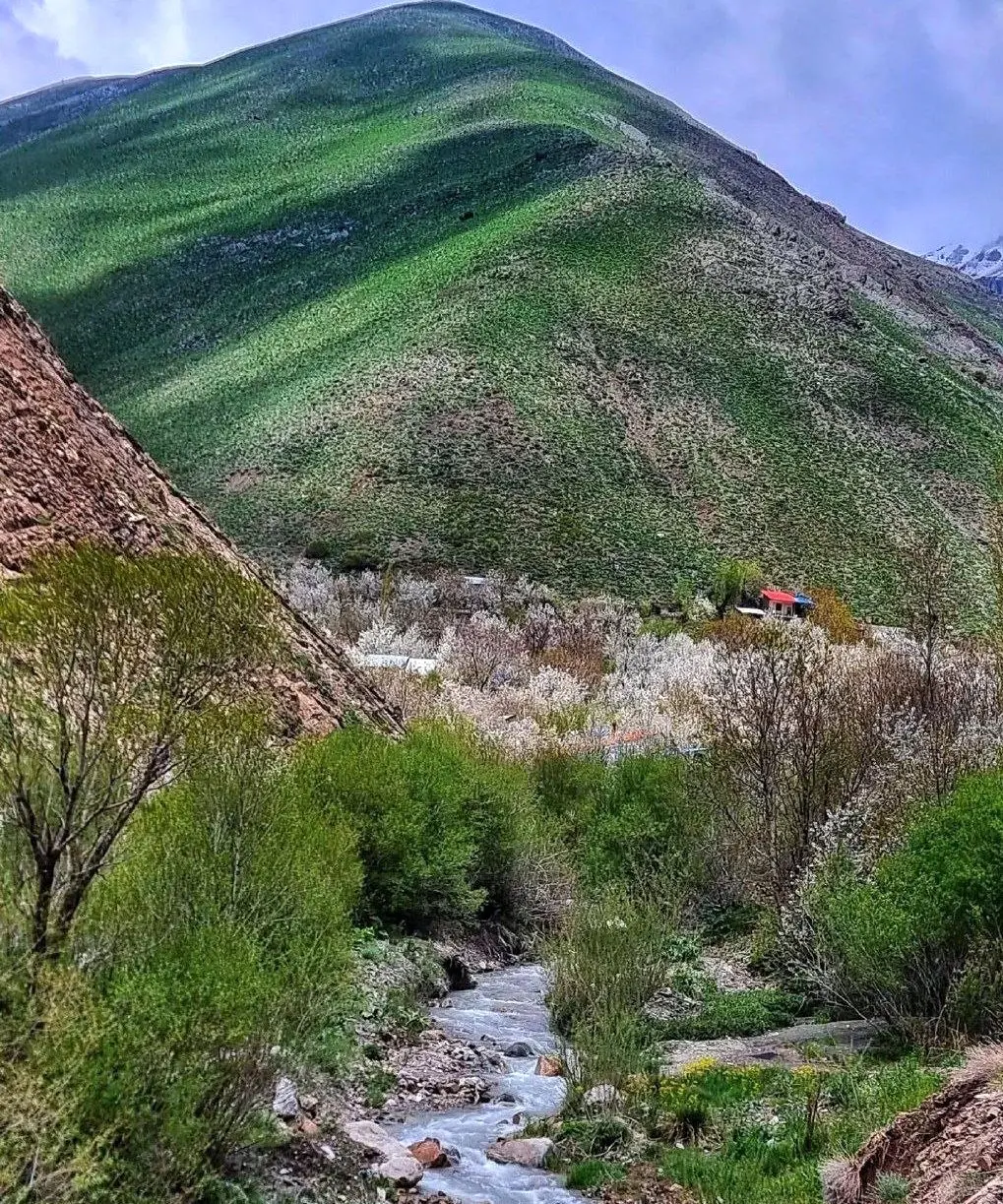 راهنمای سفر: طبیعت زیبا و بهاری روستای آهار شمیرانات + عکس